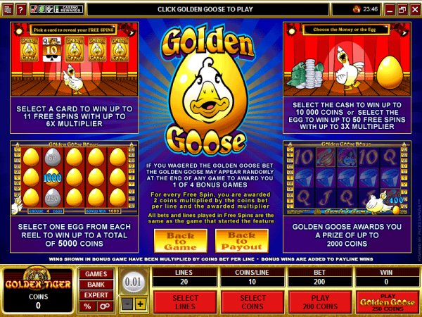 Golden Goose: Totem Treasure game screenshot 2